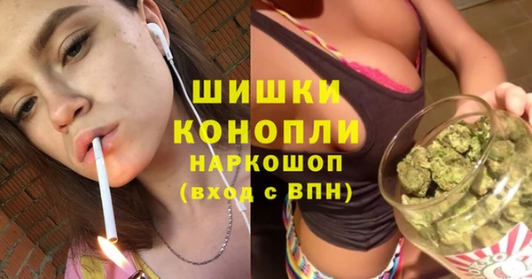 ГАЛЛЮЦИНОГЕННЫЕ ГРИБЫ Алзамай