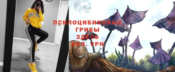 трава Покачи